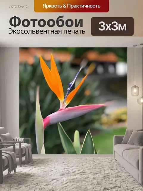 Фотообои Птица птицы