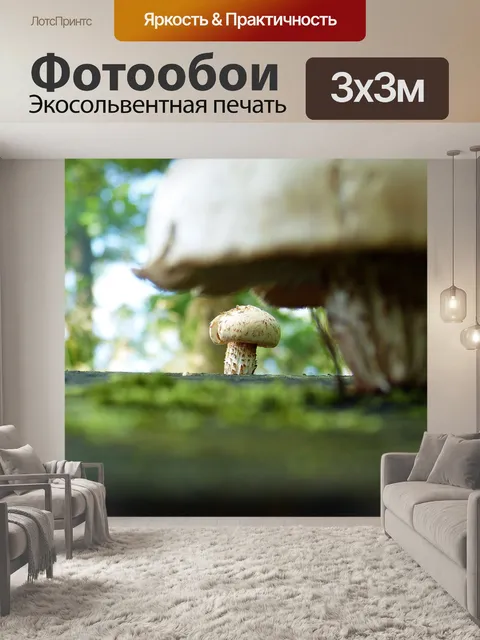Фотообои Гриб