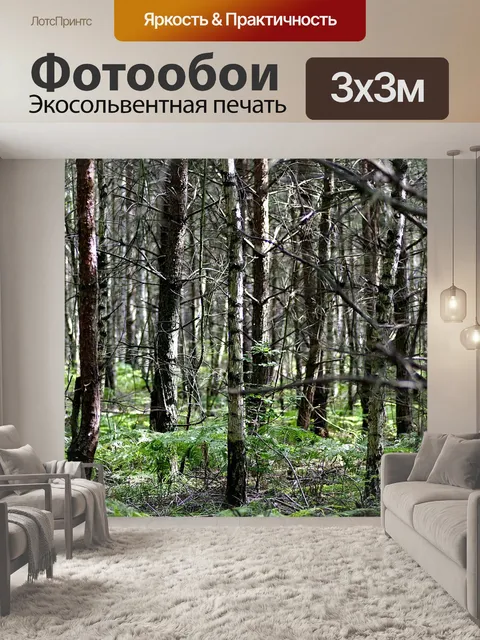 Фотообои Лес