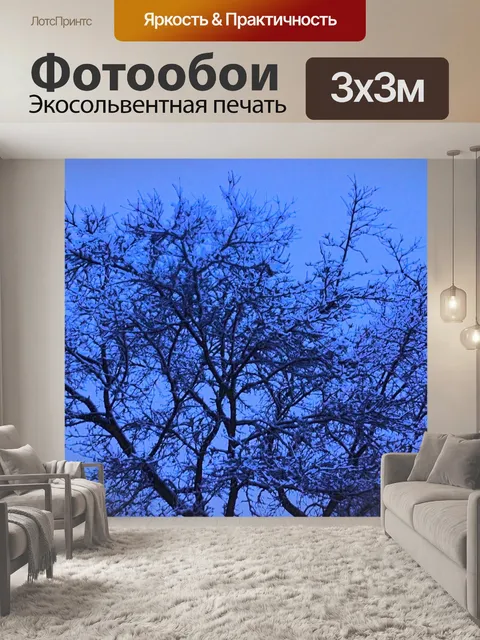 Фотообои Снежный дерево в сумерках