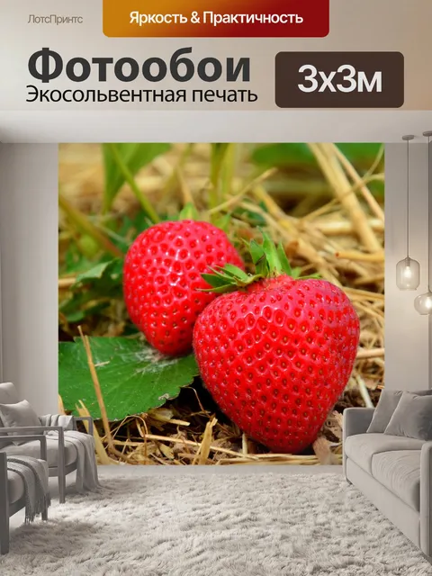 Фотообои Фрукты