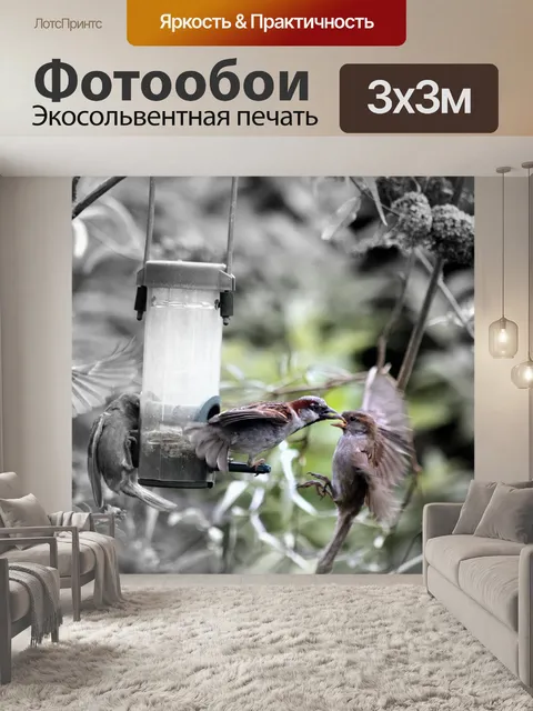 Фотообои Птицы