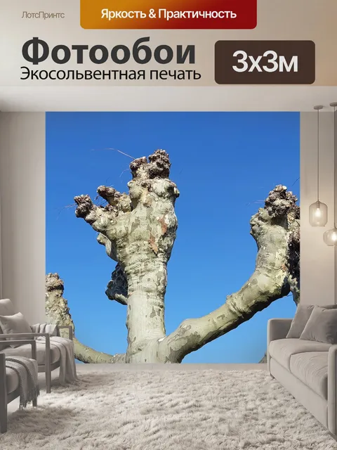 Фотообои Дерево
