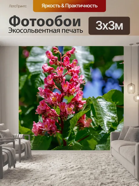 Фотообои Весенние цветы