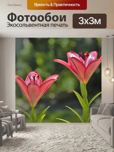 Фотообои Цветы