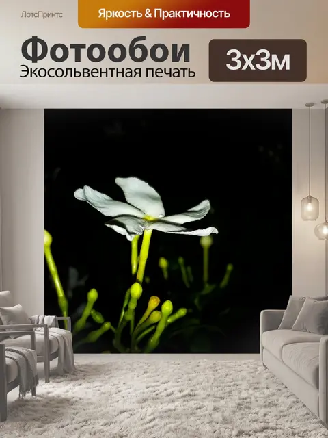 Фотообои Белый цветок