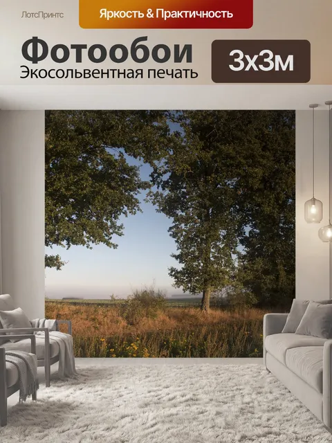 Фотообои Туман