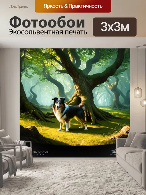 Фотообои картинка колли, исследующего древний лес