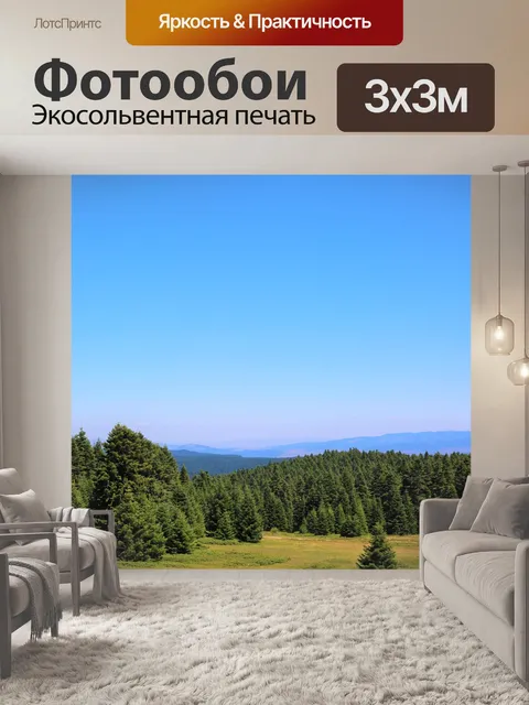 Фотообои Лес