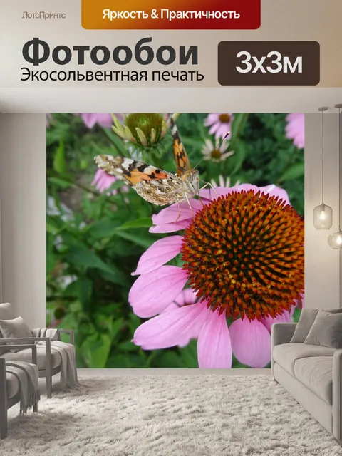 Фотообои Цветы