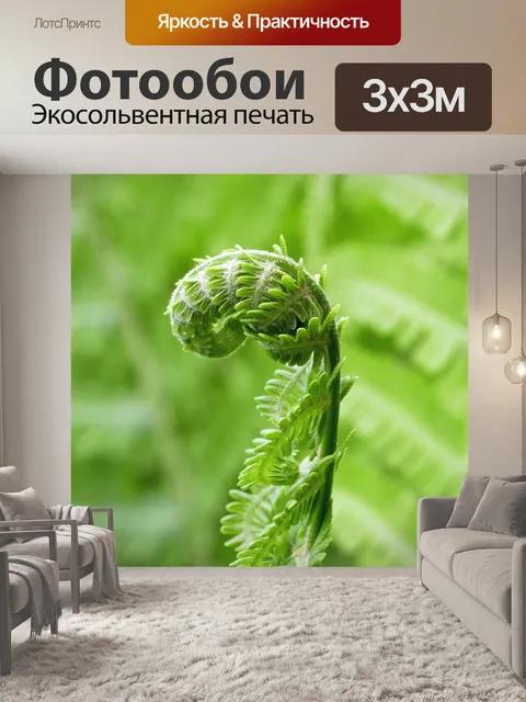 Фотообои Листья