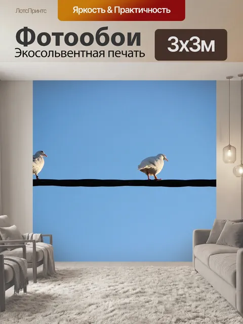 Фотообои Белые голуби