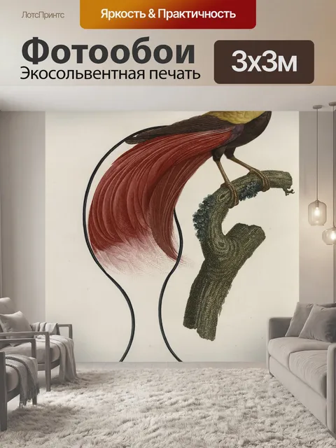 Фотообои Райская птица красная от Жака