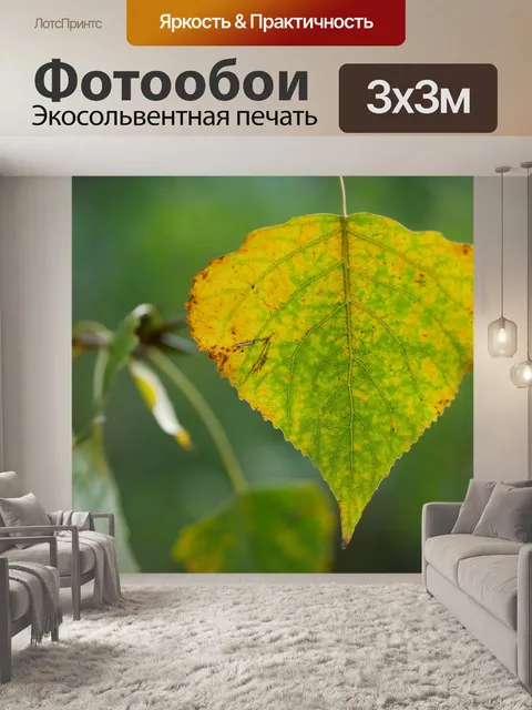 Фотообои Лист