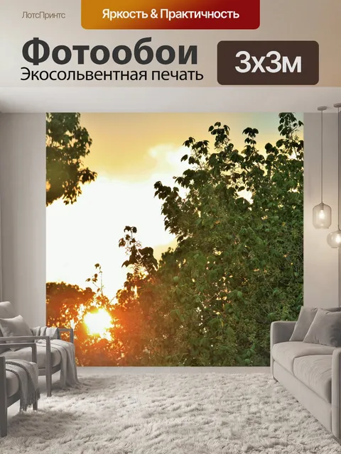 Фотообои зеленые деревья с закат