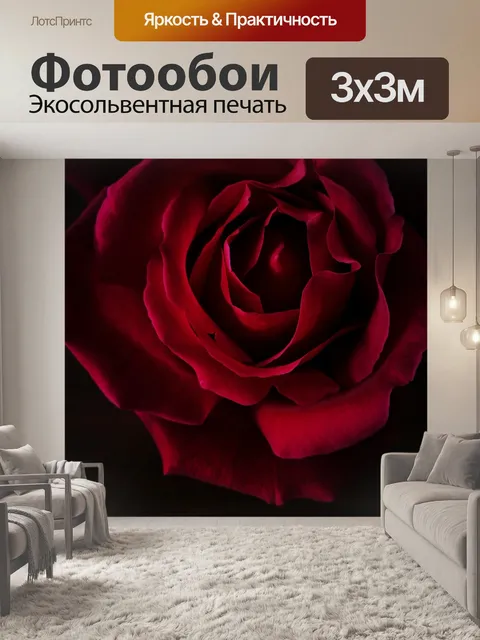 Фотообои Роза
