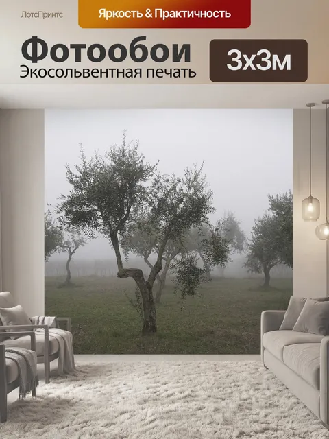 Фотообои Оливковое дерево