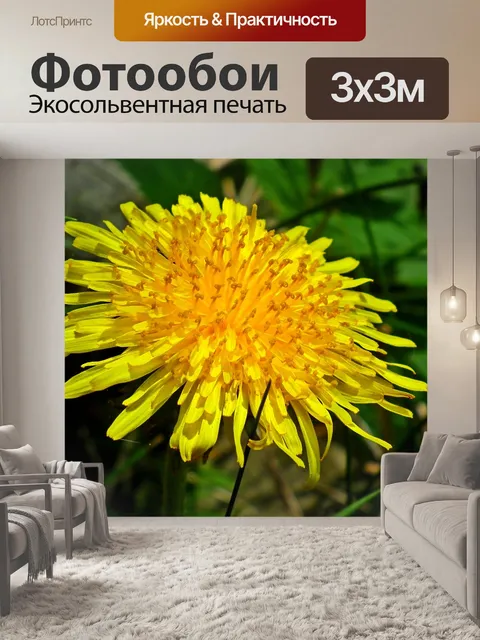 Фотообои Осот огородный