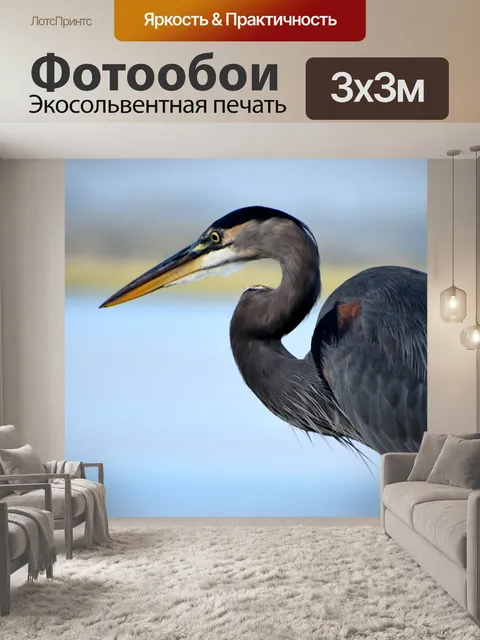 Фотообои Большая голубая цапля