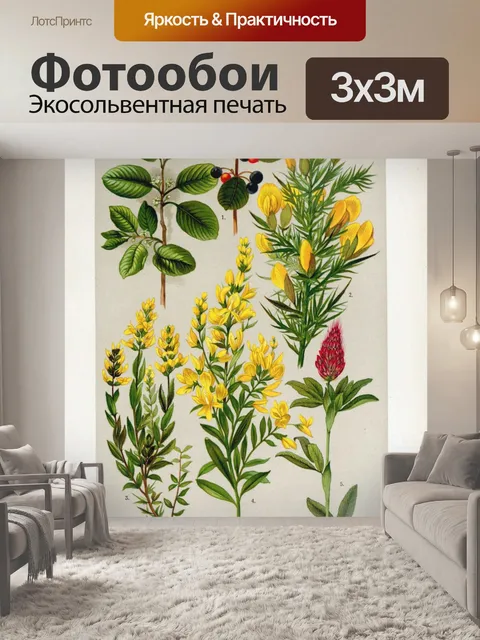 Фотообои Цветочная иллюстрация полевых цветов ста