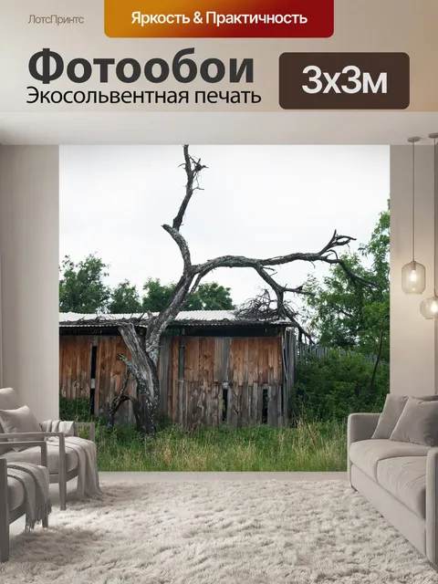Фотообои грубый деревянный домик с мертвым дерево
