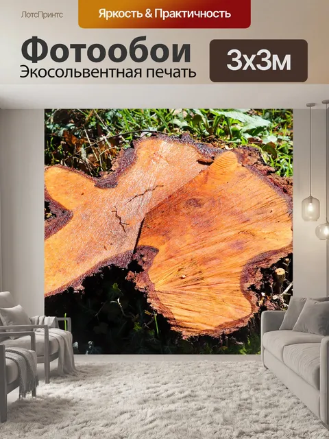 Фотообои Корень