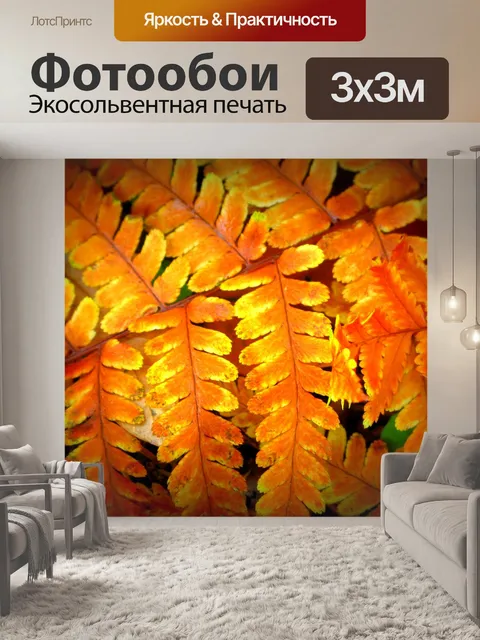 Фотообои Папоротник