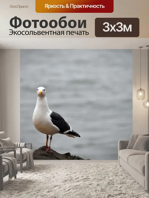 Фотообои Чайка на скале