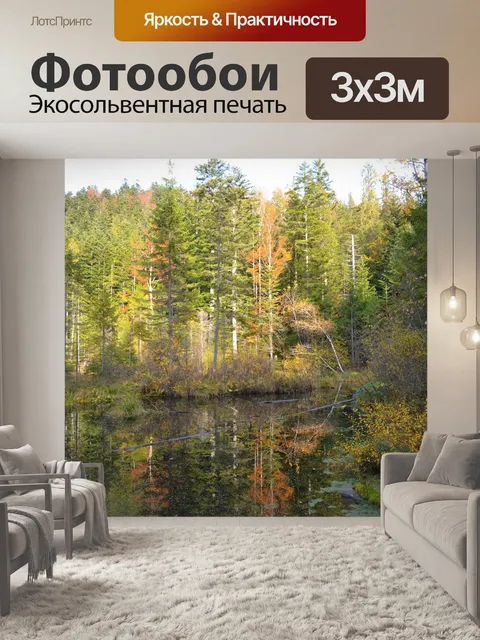 Фотообои Лес