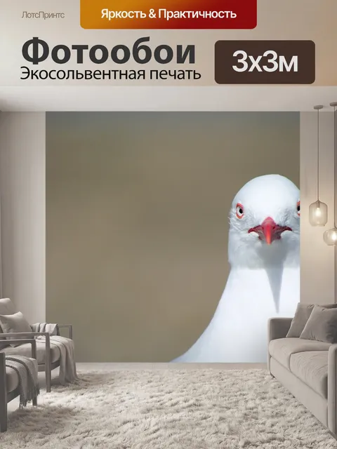Фотообои Птица