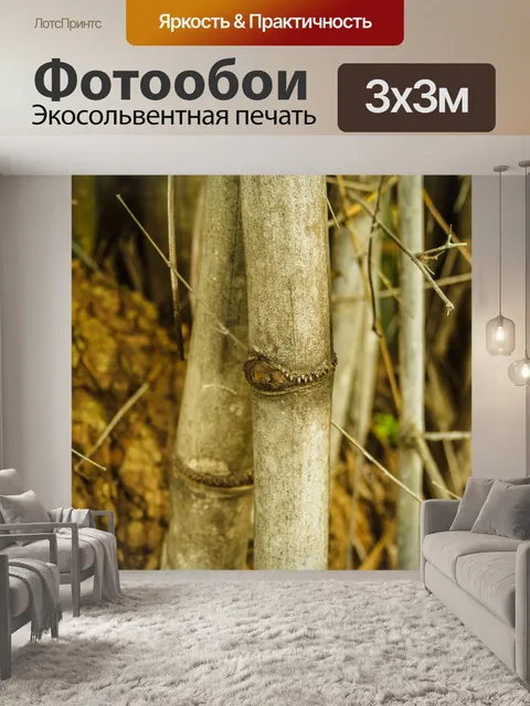Фотообои Бамбуковый лес природа фон