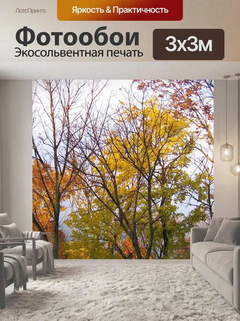Фотообои Осенние деревья