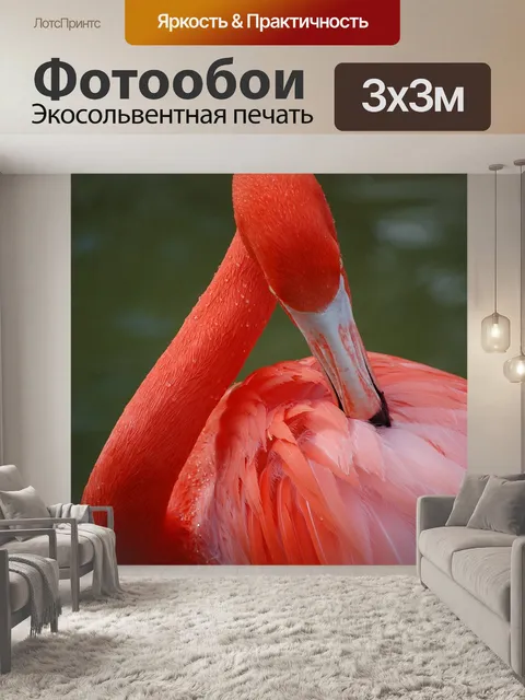 Фотообои Фламинго