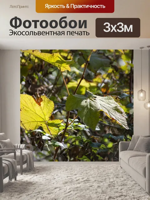 Фотообои Осенний лист