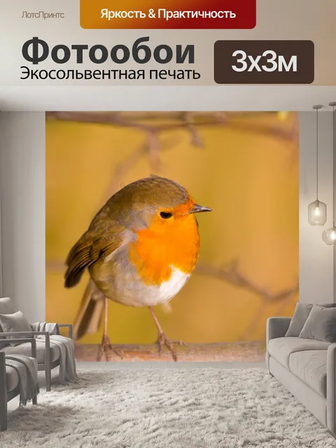 Фотообои Робин, Erithacus rubecula