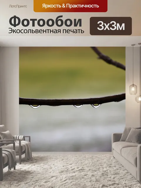 Фотообои Лес