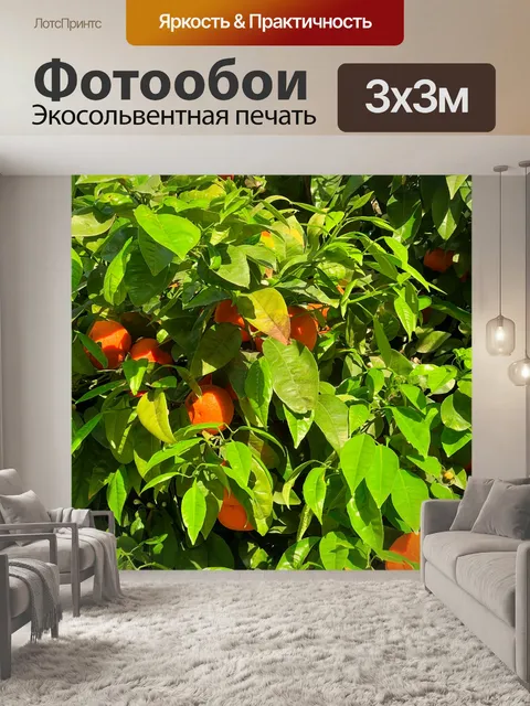Фотообои Апельсины на дереве