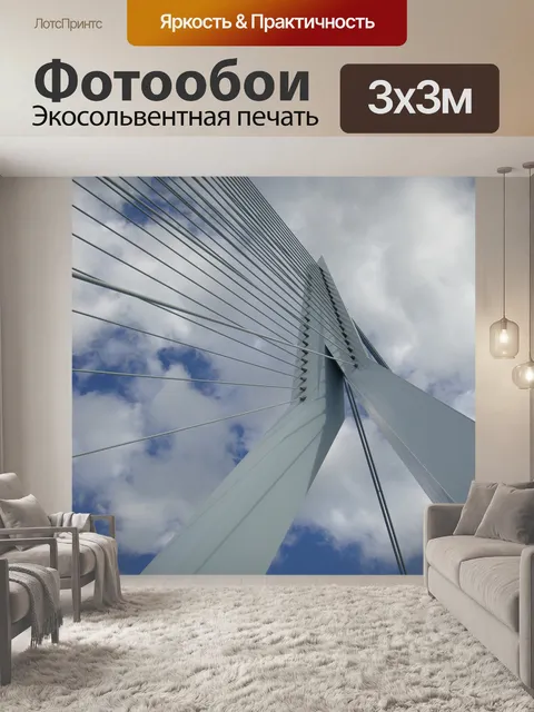 Фотообои Мост эразма