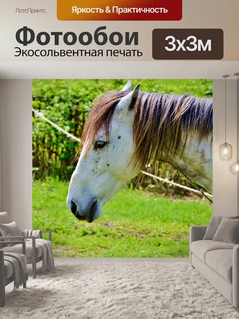 Фотообои Белый