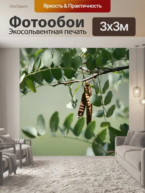 Фотообои дерево с семенных коробочек