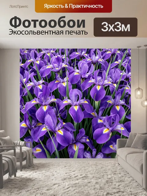 Фотообои Поле фиолетовых ирисов