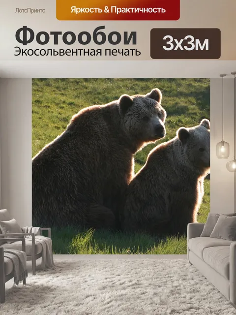 Фотообои Бурые медведи