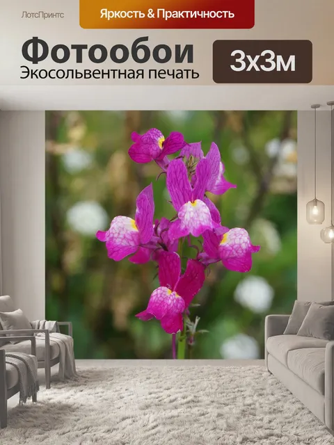 Фотообои Цветы