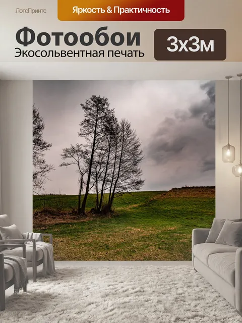 Фотообои Гром