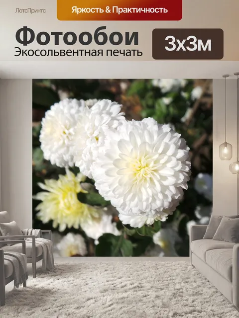Фотообои Цветы
