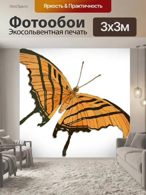 Фотообои Бабочка