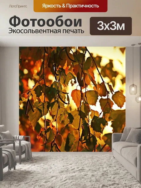Фотообои Падение