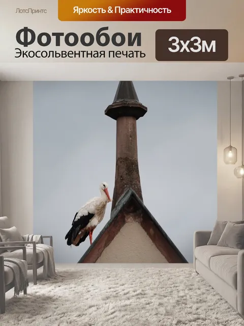 Фотообои Птица