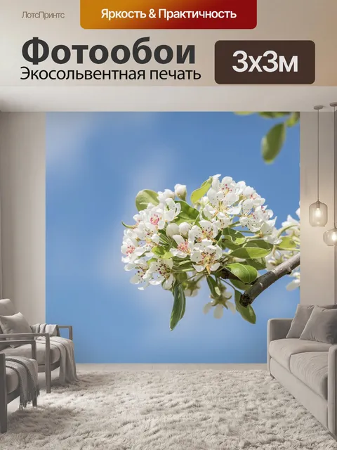 Фотообои Блоссом