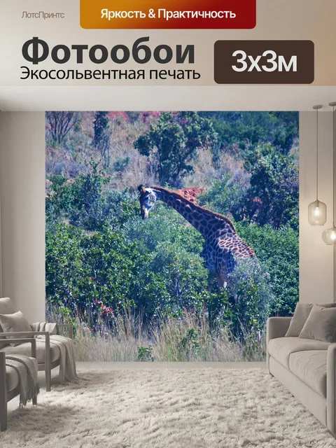 Фотообои Жираф со спины и голова повернулась